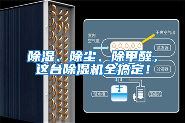 除濕、除塵、除甲醛，這臺除濕機全搞定！