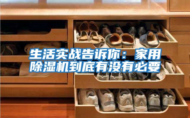 生活實戰告訴你:家用除濕機到底有沒有必要