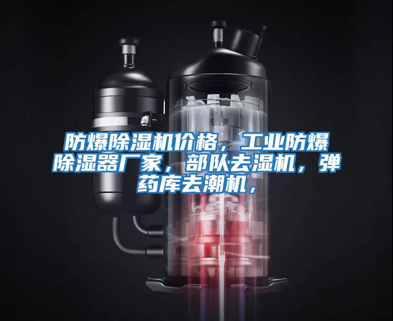 防爆除濕機(jī)價格，工業(yè)防爆除濕器廠家，部隊去濕機(jī)，彈藥庫去潮機(jī)，