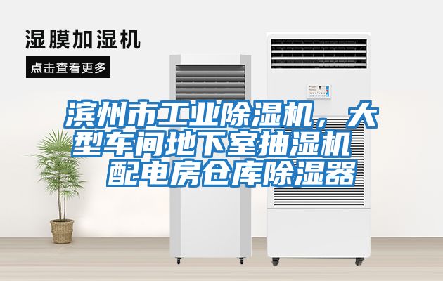 濱州市工業除濕機，大型車間地下室抽濕機  配電房倉庫除濕器