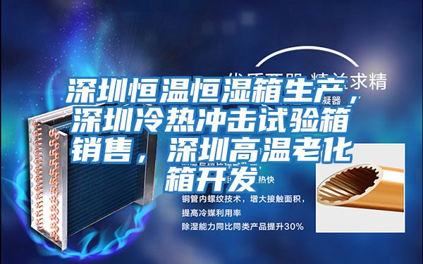 深圳恒溫恒濕箱生產(chǎn)，深圳冷熱沖擊試驗(yàn)箱銷售，深圳高溫老化箱開發(fā)