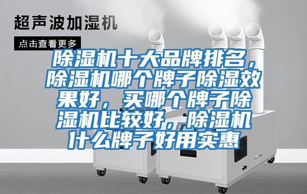 除濕機十大品牌排名，除濕機哪個牌子除濕效果好，買哪個牌子除濕機比較好，除濕機什么牌子好用實惠