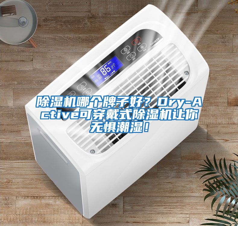 除濕機哪個牌子好？Dry-Active可穿戴式除濕機讓你無懼潮濕！