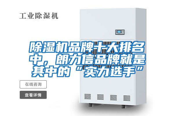 除濕機品牌十大排名中,朗力信品牌就是其中的“實力選手”