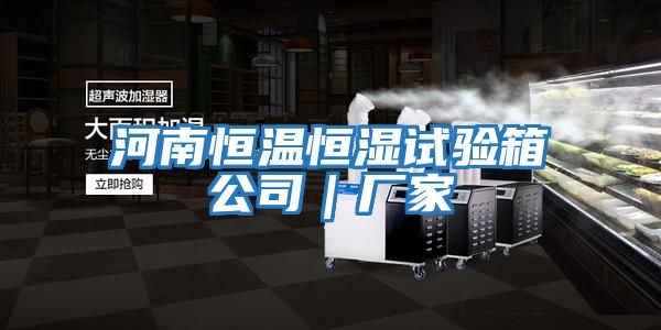 河南恒溫恒濕試驗(yàn)箱公司|廠家