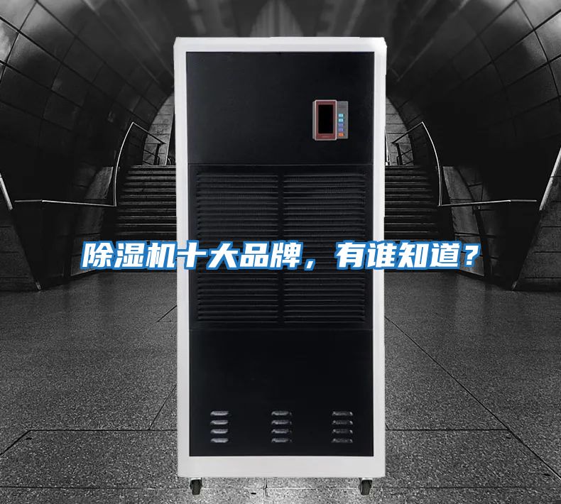 除濕機十大品牌，有誰知道？