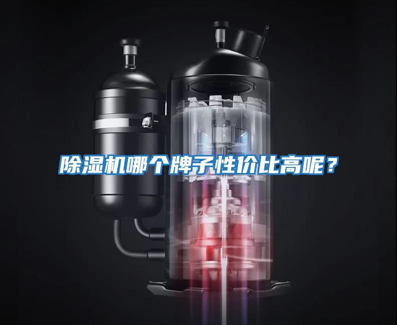 除濕機哪個牌子性價比高呢？