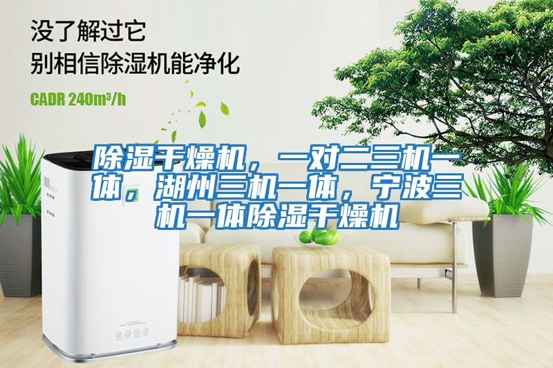除濕干燥機(jī)，一對二三機(jī)一體，湖州三機(jī)一體，寧波三機(jī)一體除濕干燥機(jī)