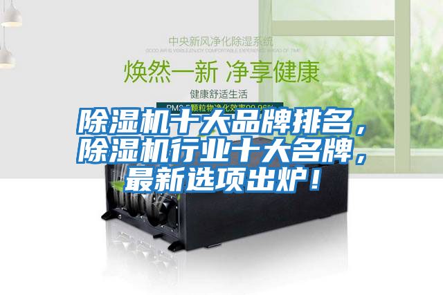 除濕機十大品牌排名，除濕機行業十大名牌，最新選項出爐！