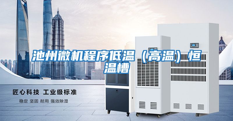 池州微機程序低溫(高溫)恒溫槽