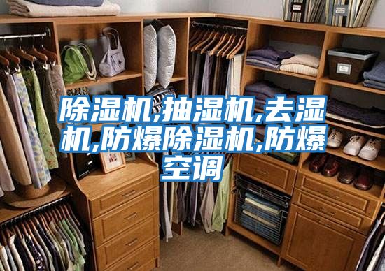 除濕機,抽濕機,去濕機,防爆除濕機,防爆空調