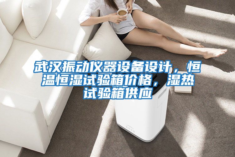 武漢振動儀器設備設計，恒溫恒濕試驗箱價格，濕熱試驗箱供應
