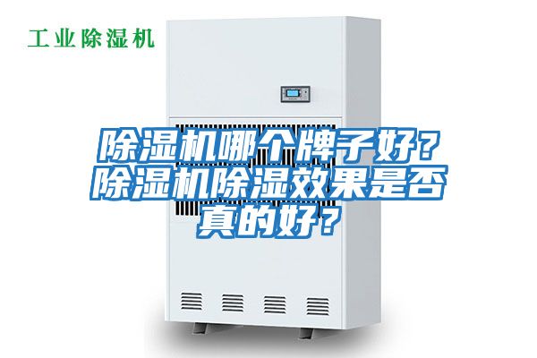 除濕機哪個牌子好？除濕機除濕效果是否真的好？