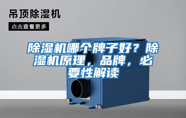 除濕機哪個牌子好？除濕機原理，品牌，必要性解讀