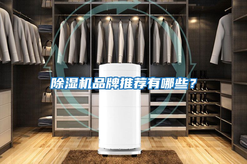 除濕機品牌推薦有哪些？