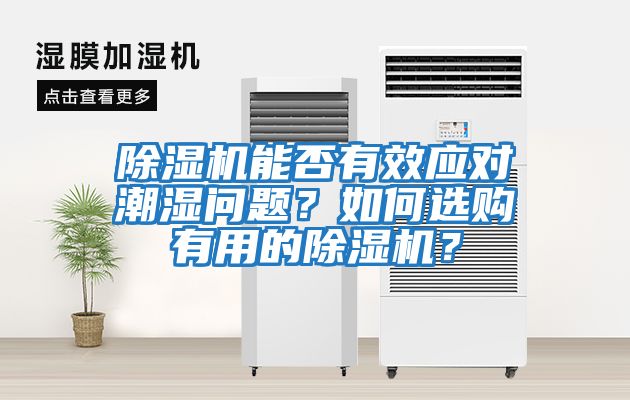 除濕機能否有效應對潮濕問題？如何選購有用的除濕機？