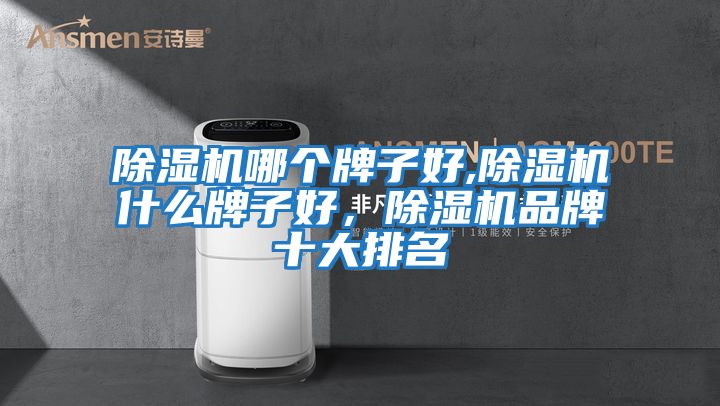 除濕機(jī)哪個牌子好,除濕機(jī)什么牌子好，除濕機(jī)品牌十大排名