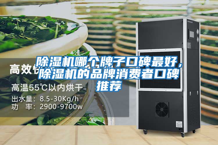 除濕機哪個牌子口碑最好，除濕機的品牌消費者口碑推薦