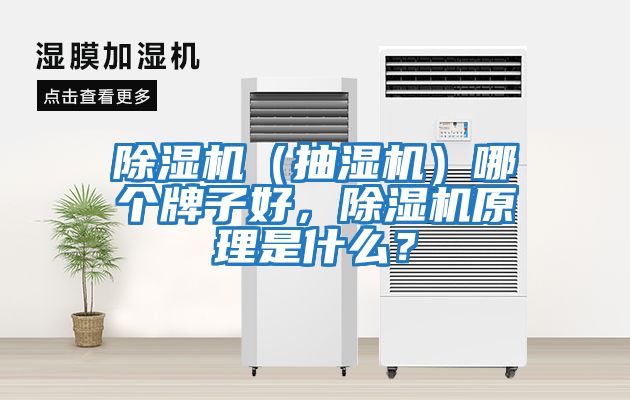 除濕機(抽濕機)哪個牌子好,除濕機原理是什么?