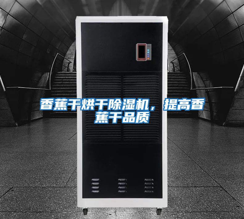 香蕉干烘干除濕機，提高香蕉干品質