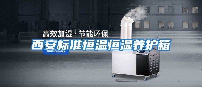 西安標準恒溫恒濕養護箱