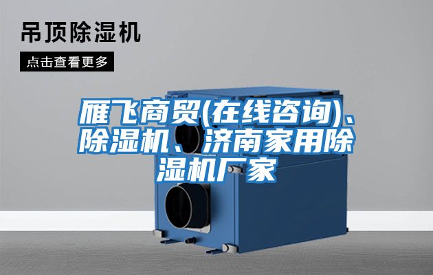 雁飛商貿(mào)(在線咨詢)、除濕機(jī)、濟(jì)南家用除濕機(jī)廠家