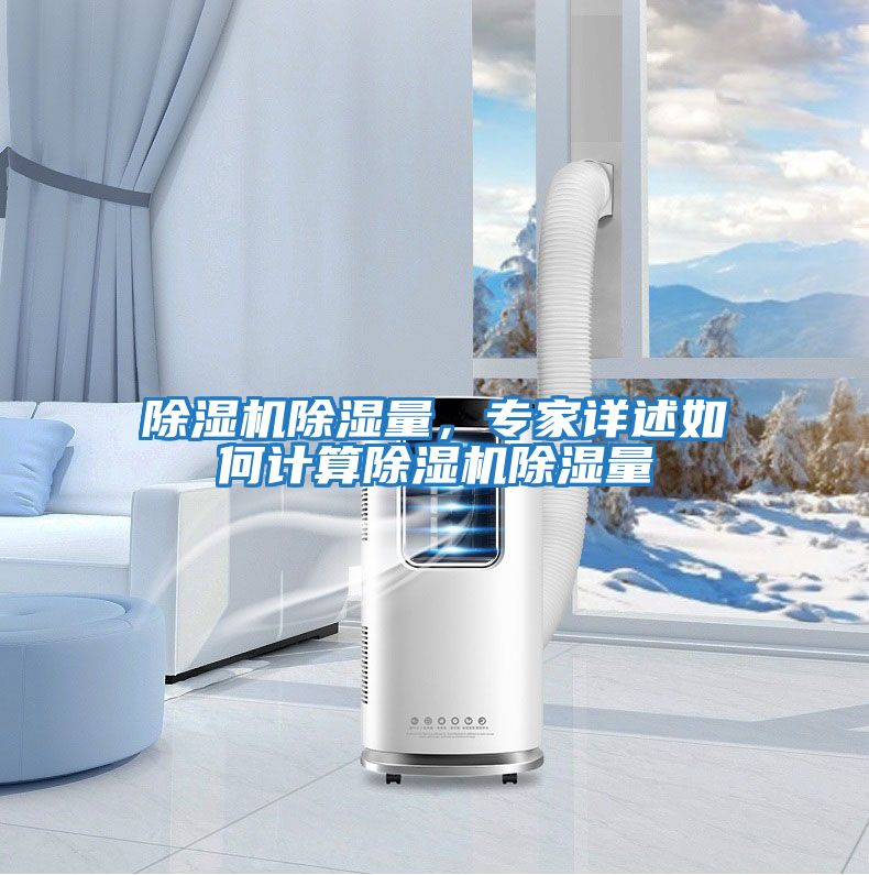 除濕機除濕量,專家詳述如何計算除濕機除濕量