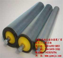 最優(yōu)質(zhì)的無動力滾筒工廠 萬鑫滾筒高清圖片 高清大圖